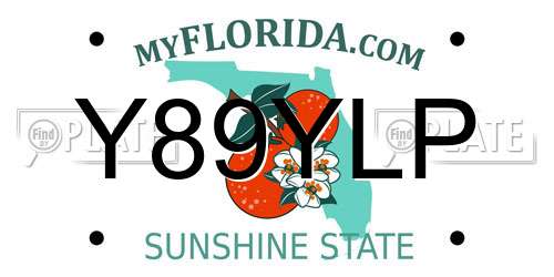 Y89YLP Florida License Plate