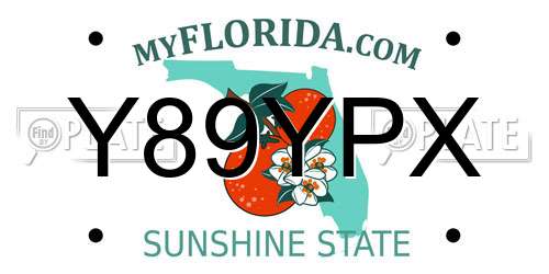 Y89YPX Florida License Plate