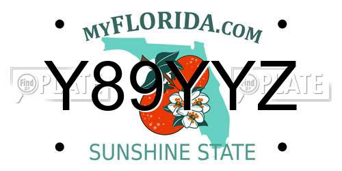 Y89YYZ Florida License Plate