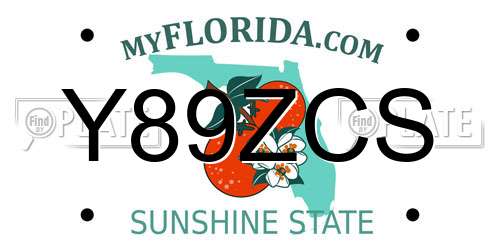 Y89ZCS Florida License Plate