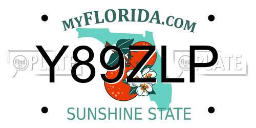 Y89ZLP Florida License Plate