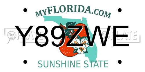 Y89ZWE Florida License Plate