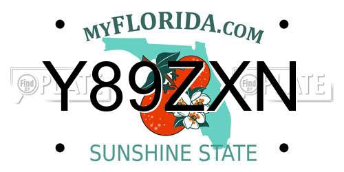 Y89ZXN Florida License Plate