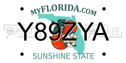 Y89ZYA Florida License Plate