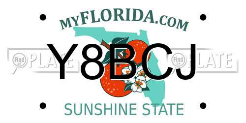Y8BCJ Florida License Plate