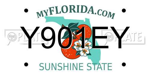 Y901EY Florida License Plate