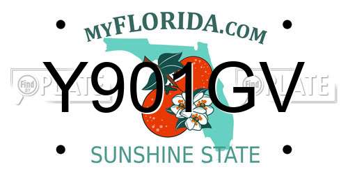 Y901GV Florida License Plate