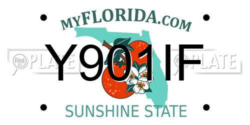 Y901IF Florida License Plate
