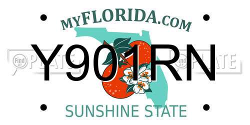 Y901RN Florida License Plate