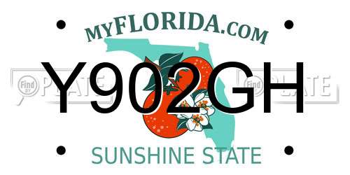 Y902GH Florida License Plate