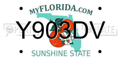 Y903DV Florida License Plate