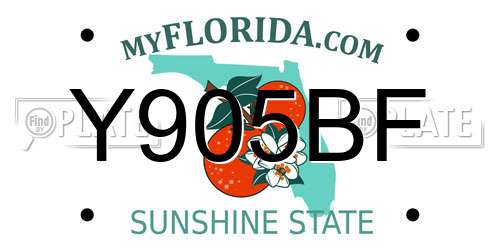 Y905BF Florida License Plate