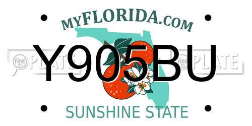 Y905BU Florida License Plate