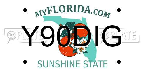 Y90DIG Florida License Plate