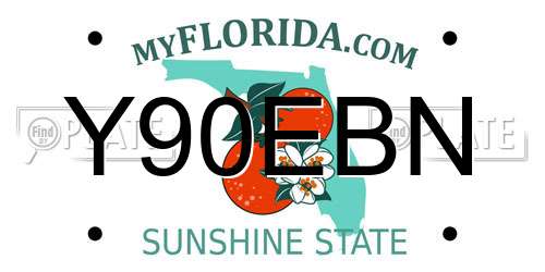 Y90EBN Florida License Plate