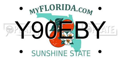 Y90EBY Florida License Plate