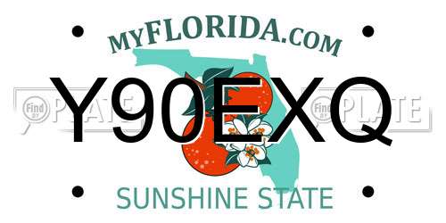 Y90EXQ Florida License Plate