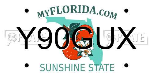 Y90GUX Florida License Plate