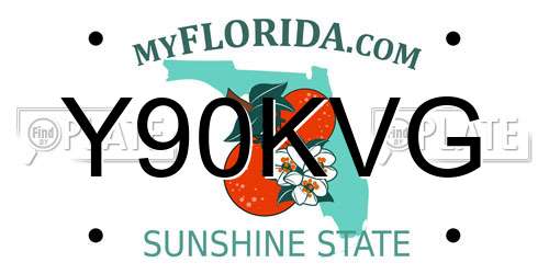 Y90KVG Florida License Plate