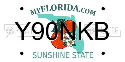 Y90NKB Florida License Plate