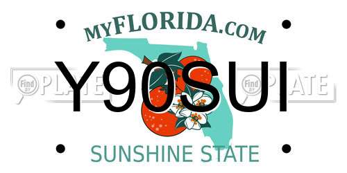 Y90SUI Florida License Plate