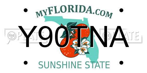 Y90TNA Florida License Plate