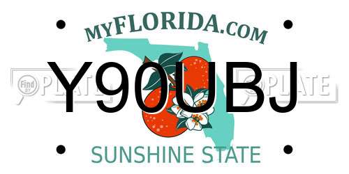 Y90UBJ Florida License Plate