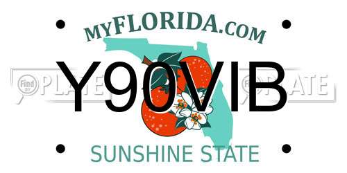 Y90VIB Florida License Plate
