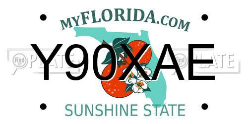 Y90XAE Florida License Plate