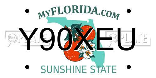 Y90XEU Florida License Plate