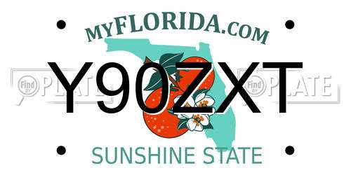 Y90ZXT Florida License Plate