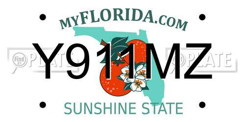 Y911MZ Florida License Plate
