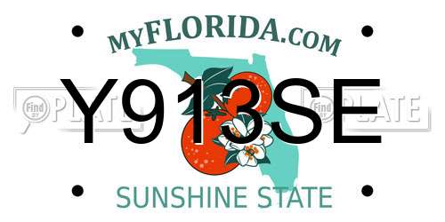 Y913SE Florida License Plate