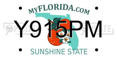 Y915PM Florida License Plate