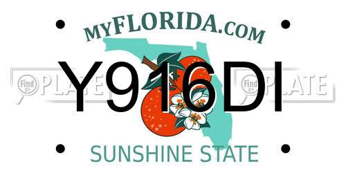 Y916DI Florida License Plate