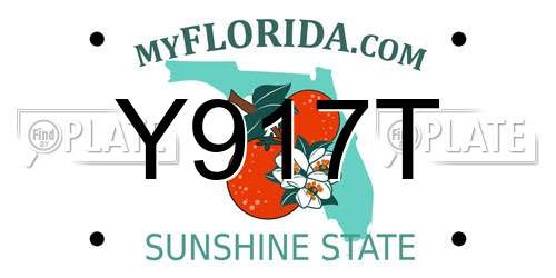 Y917T Florida License Plate