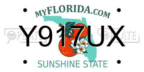 Y917UX Florida License Plate