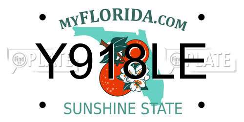 Y918LE Florida License Plate