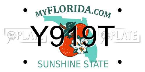 Y919T Florida License Plate