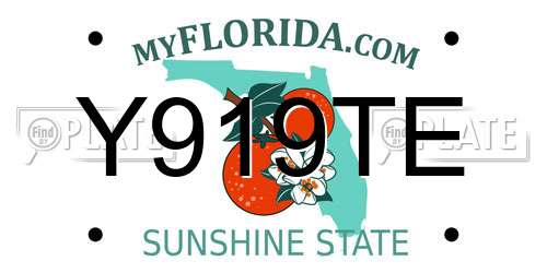 Y919TE Florida License Plate