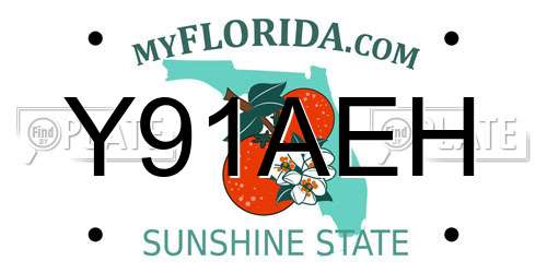 Y91AEH Florida License Plate