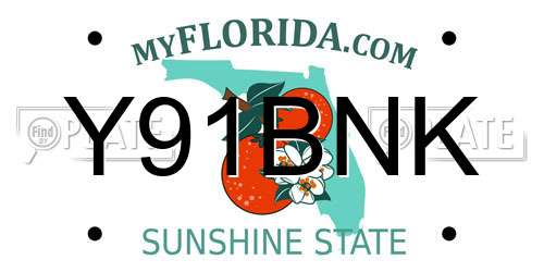 Y91BNK Florida License Plate
