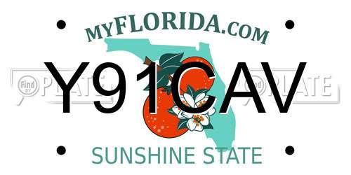 Y91CAV Florida License Plate