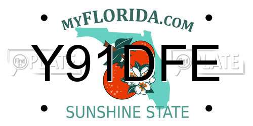 Y91DFE Florida License Plate