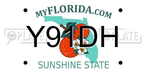 Y91DH Florida License Plate