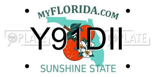 Y91DII Florida License Plate