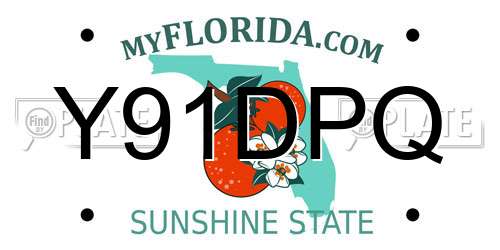 Y91DPQ Florida License Plate