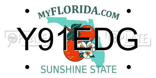 Y91EDG Florida License Plate