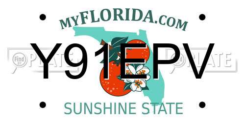 Y91EPV Florida License Plate
