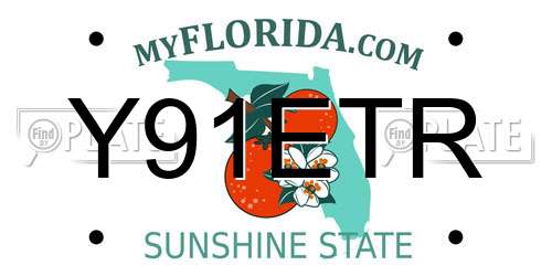 Y91ETR Florida License Plate